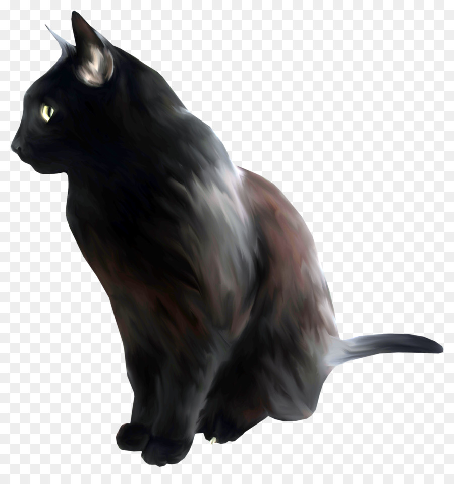 Gato Negro，Bombay Gato PNG