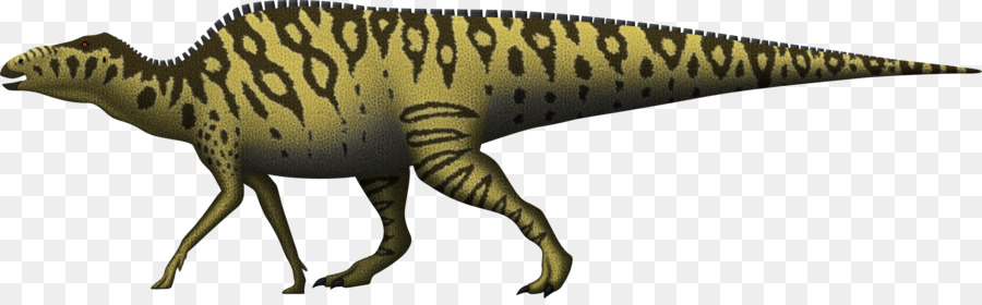 Tyrannosaurus，Shantungosaurus PNG