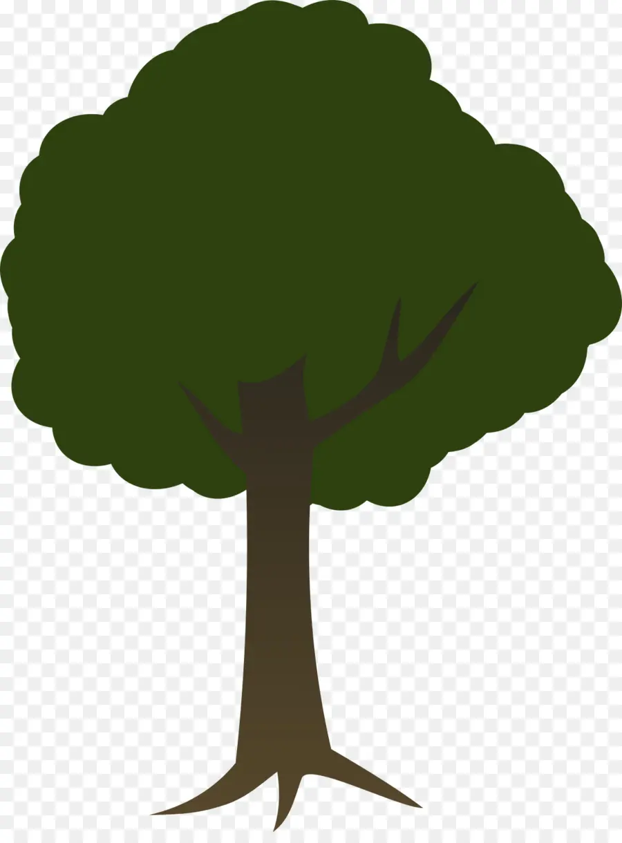 Árbol，Verde PNG