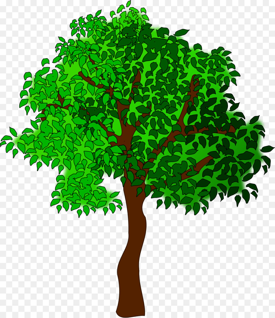 Árbol，Hojas PNG