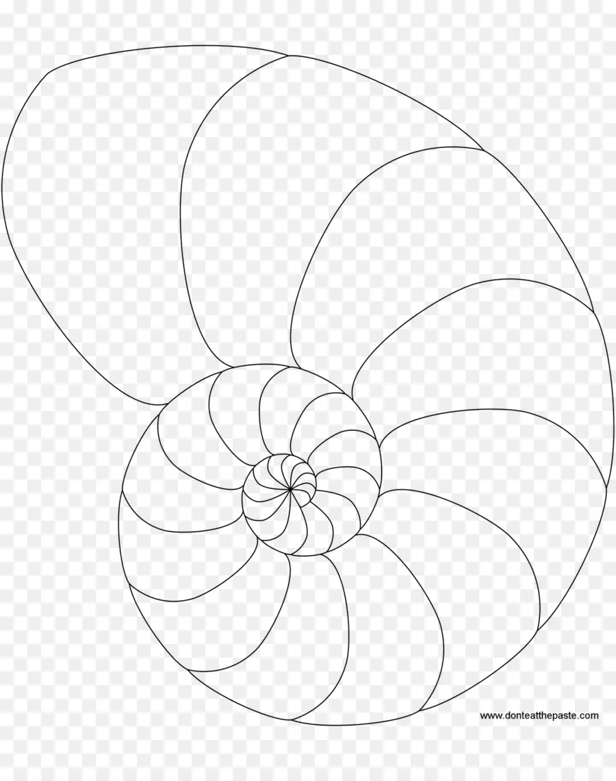 Concha De Nautilo，Espiral PNG