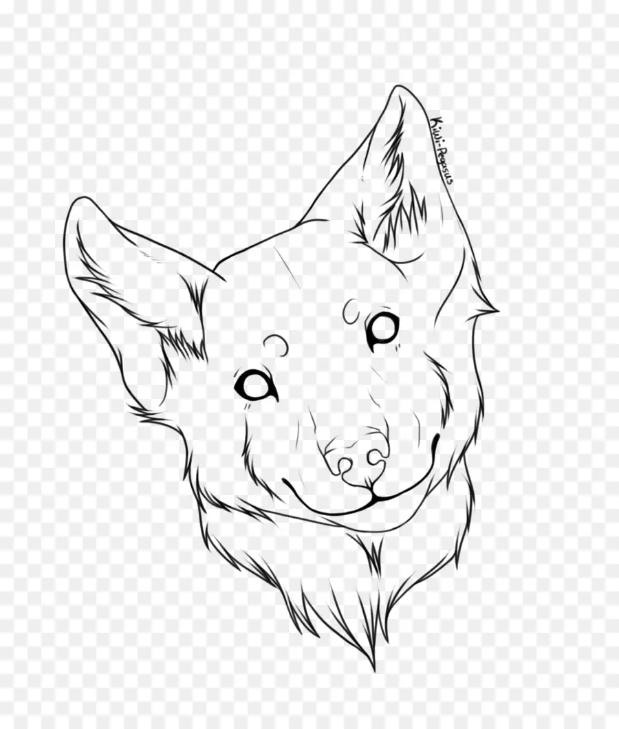 Dibujo De Lobo，Animal PNG