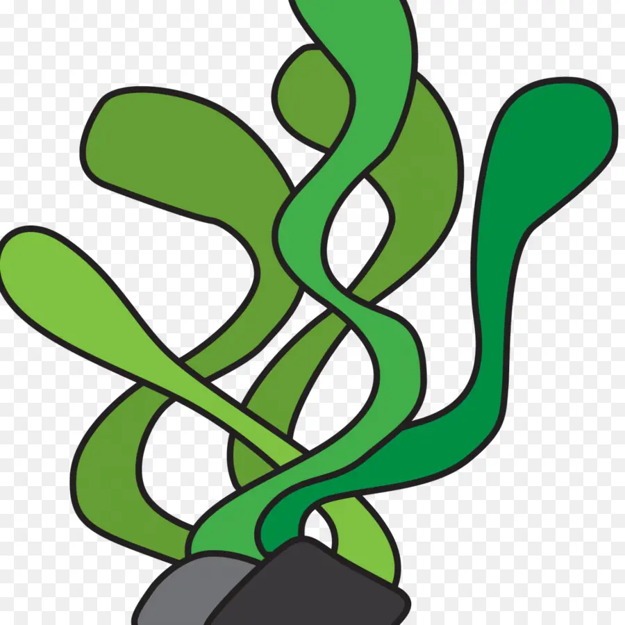 Las Plantas Acuáticas，Las Algas PNG