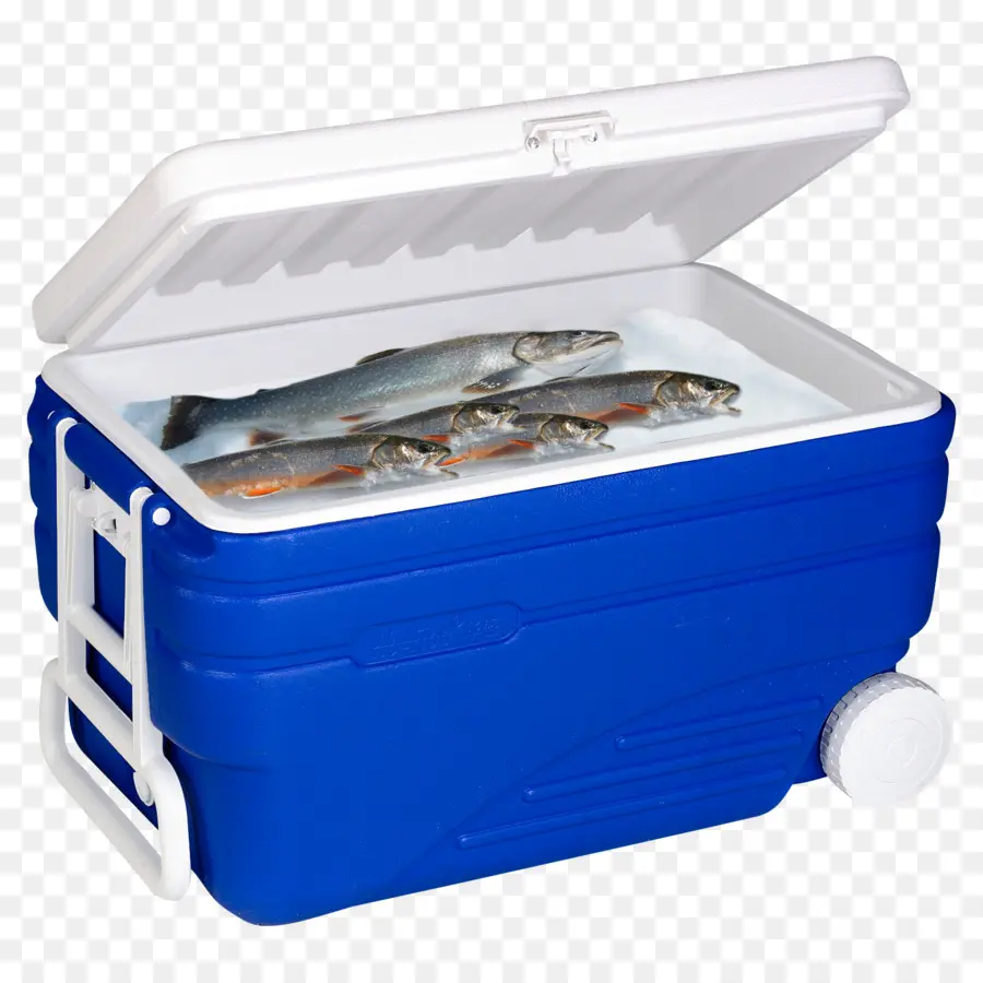 Enfriador Con Pescado，Azul PNG