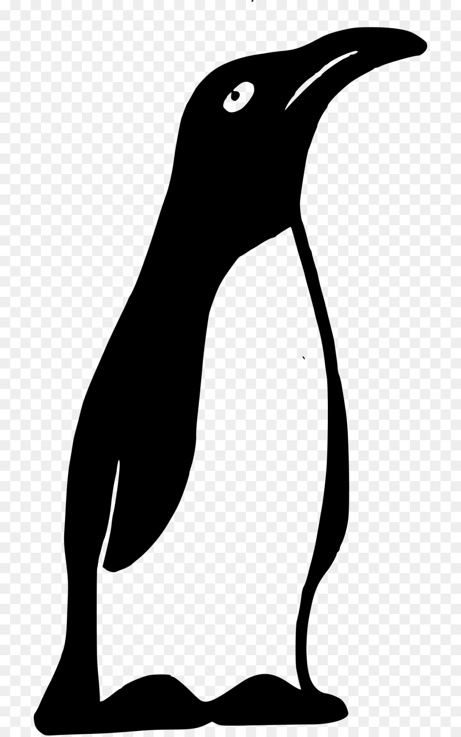 Pingüino，En Blanco Y Negro PNG