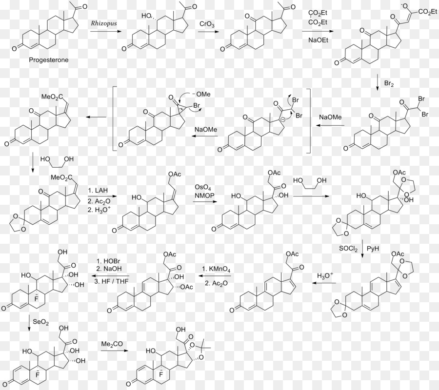 Estructura Química，Molécula PNG