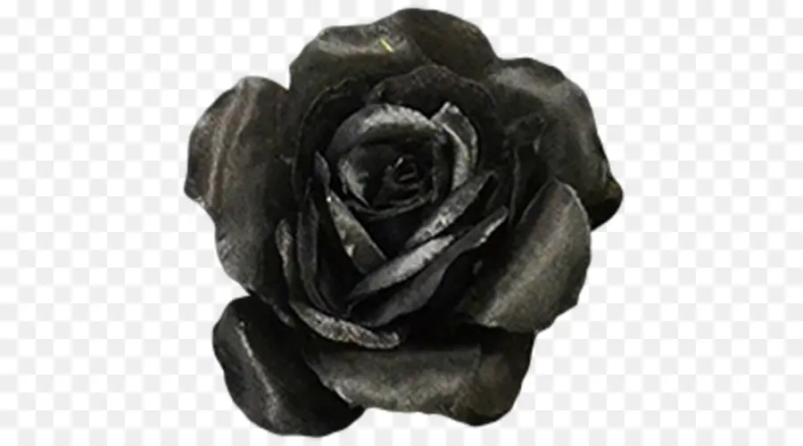 Rosa，Flor PNG