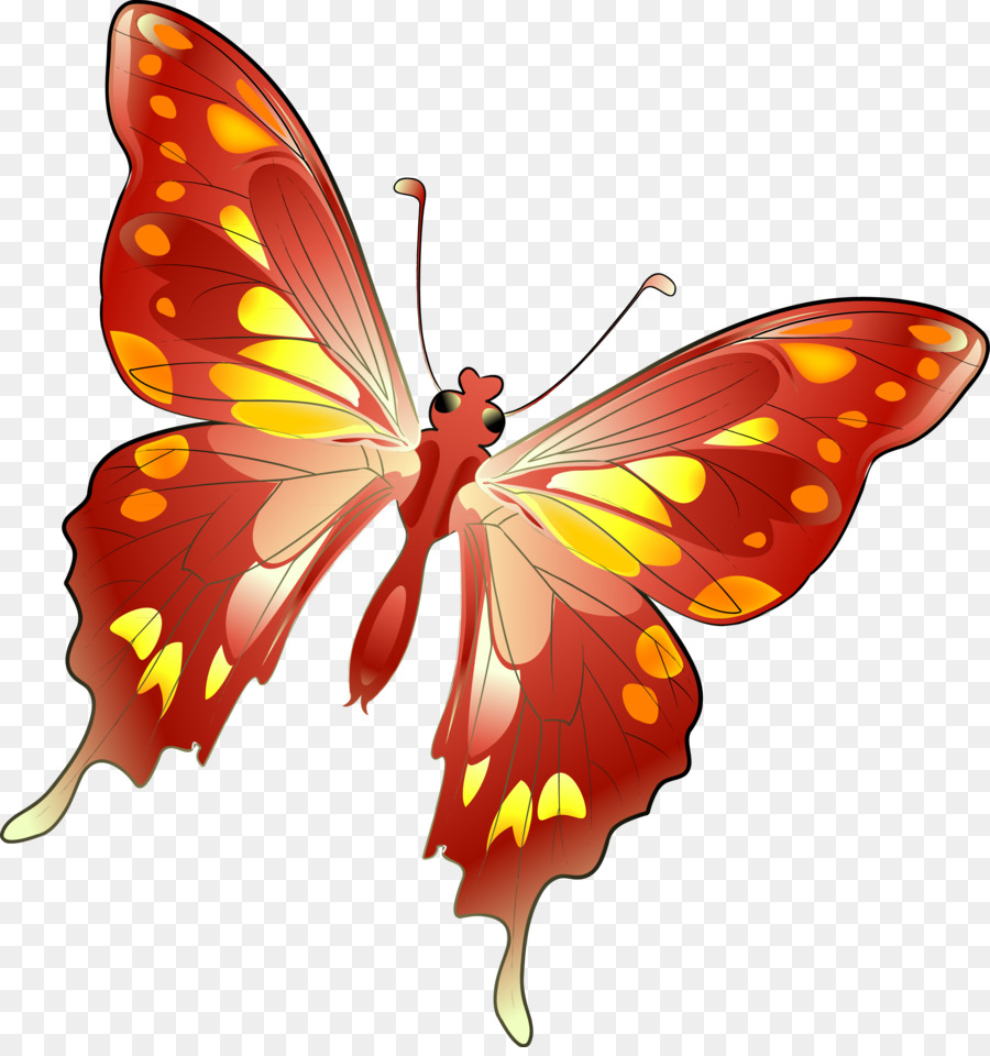 Mariposa，Rojo PNG