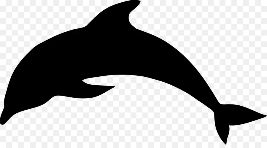 Dolphin，Silueta PNG