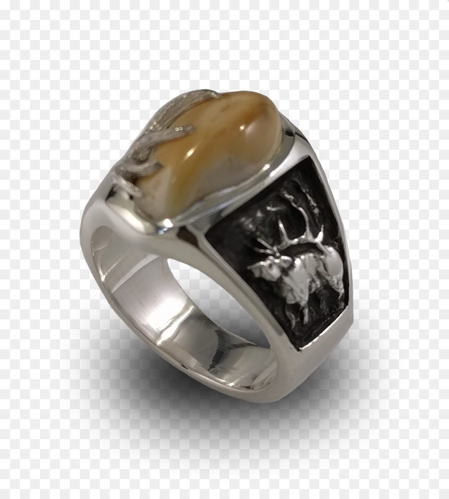 Anillo，Alce PNG