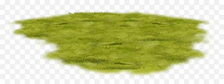 Césped，Verde PNG