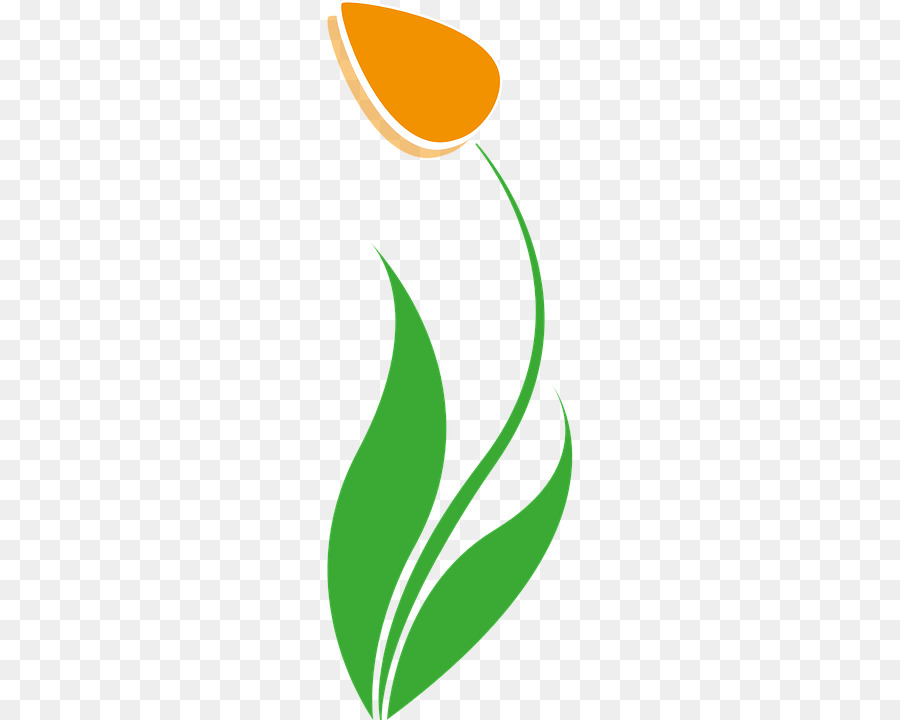 Tulip，Flor PNG