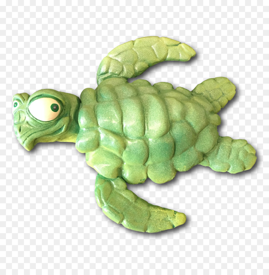 Tortuga De Mar，Tortuga PNG