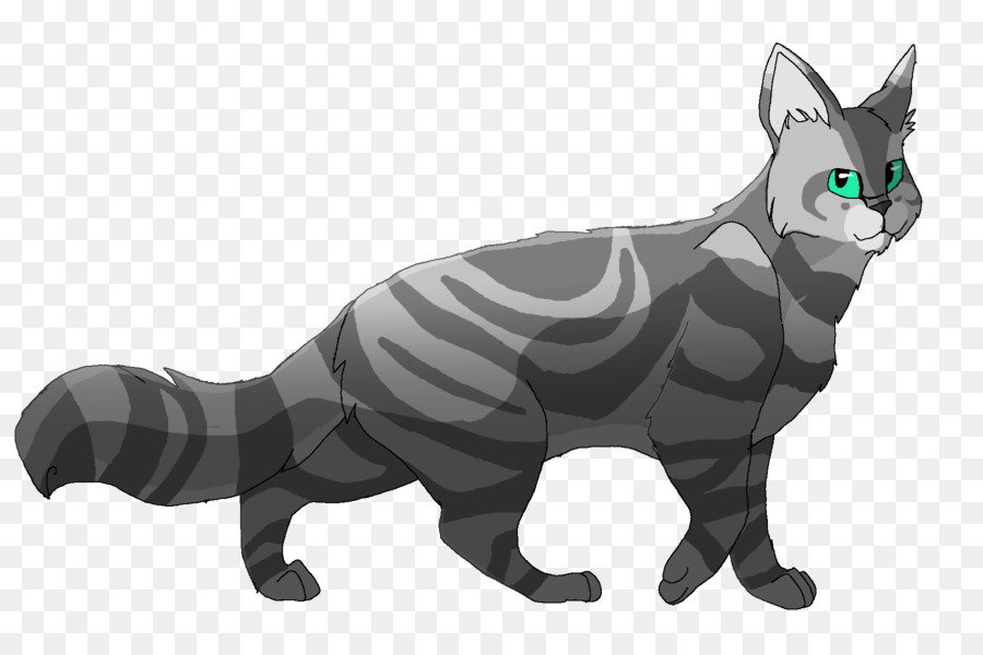 Gato，Sol Trail PNG