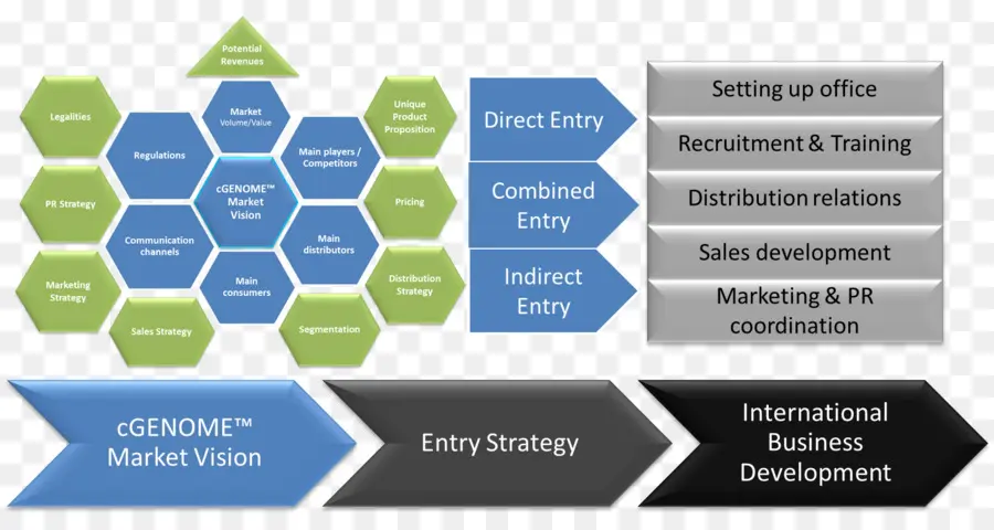 Visión De Mercado，Estrategia De Entrada PNG