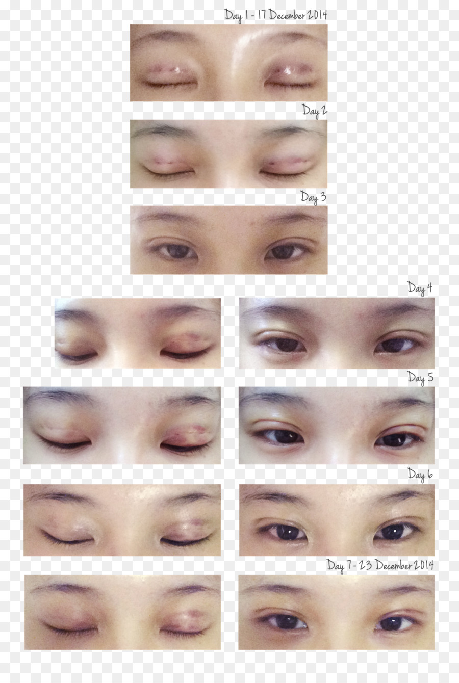 Extensiones De Pestañas Postizas，Sombra De Ojos PNG