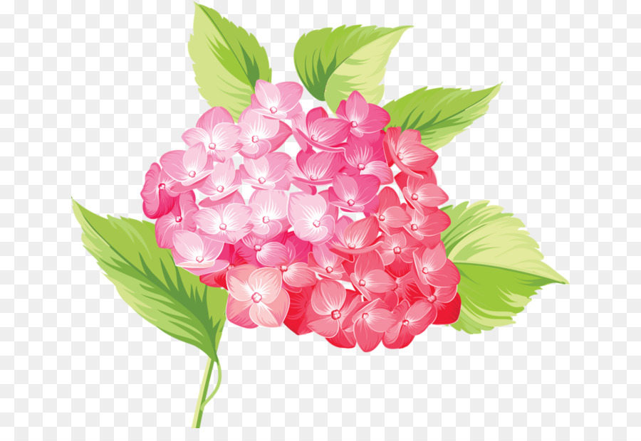 Flor，Postscript Encapsulado PNG