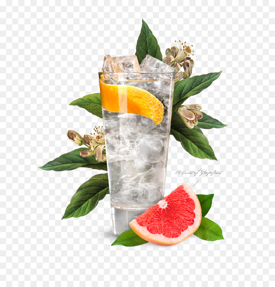 Cóctel De Guarnición，Gin Tonic PNG