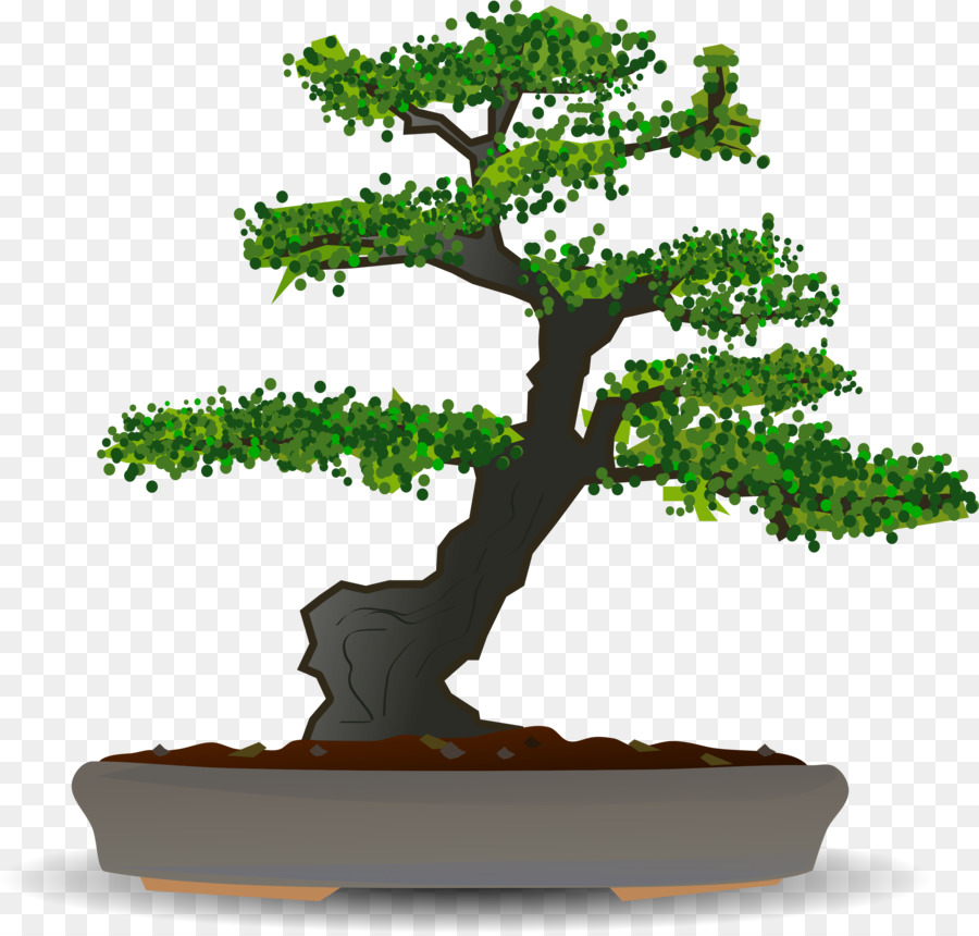 Árbol Bonsái，Planta PNG