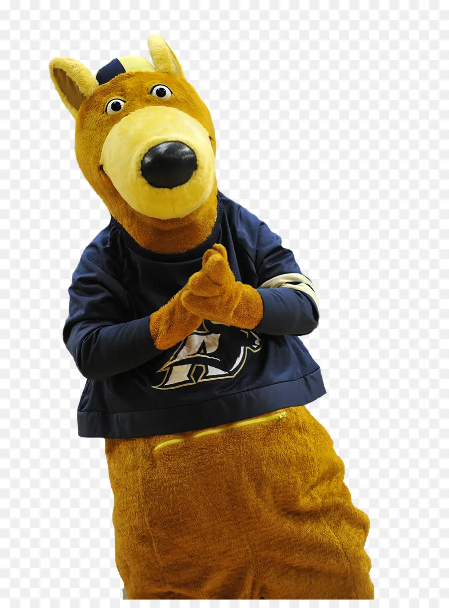 Universidad De Akron，Akron Zips De Fútbol PNG