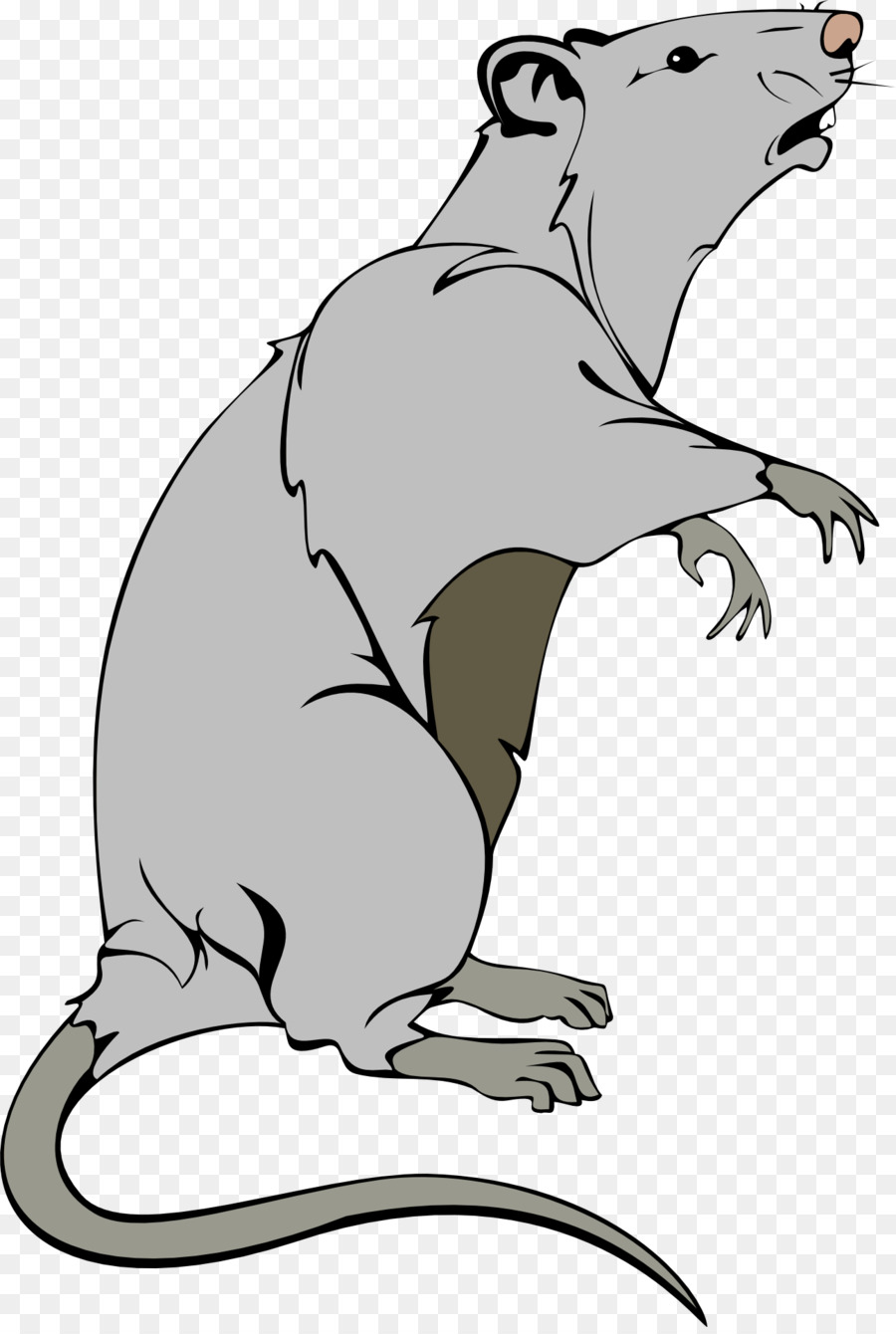 Ratón Gris，Roedor PNG