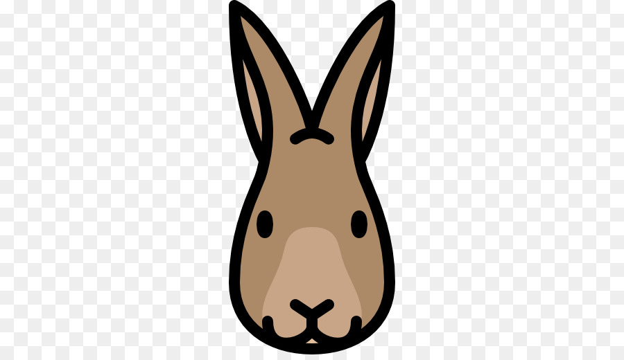 Cara De Conejo，Conejito PNG