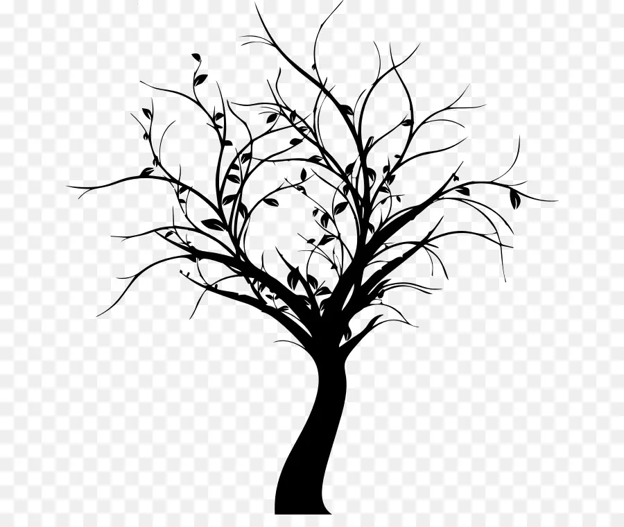 Silueta De árbol Negro，Naturaleza PNG