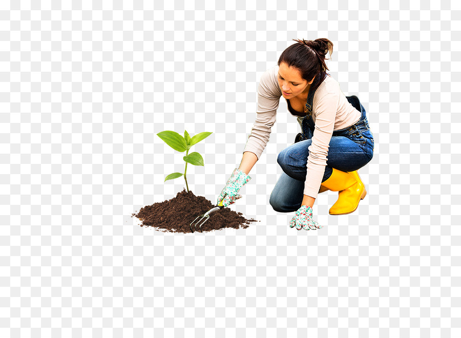 Jardinero，Plantando PNG