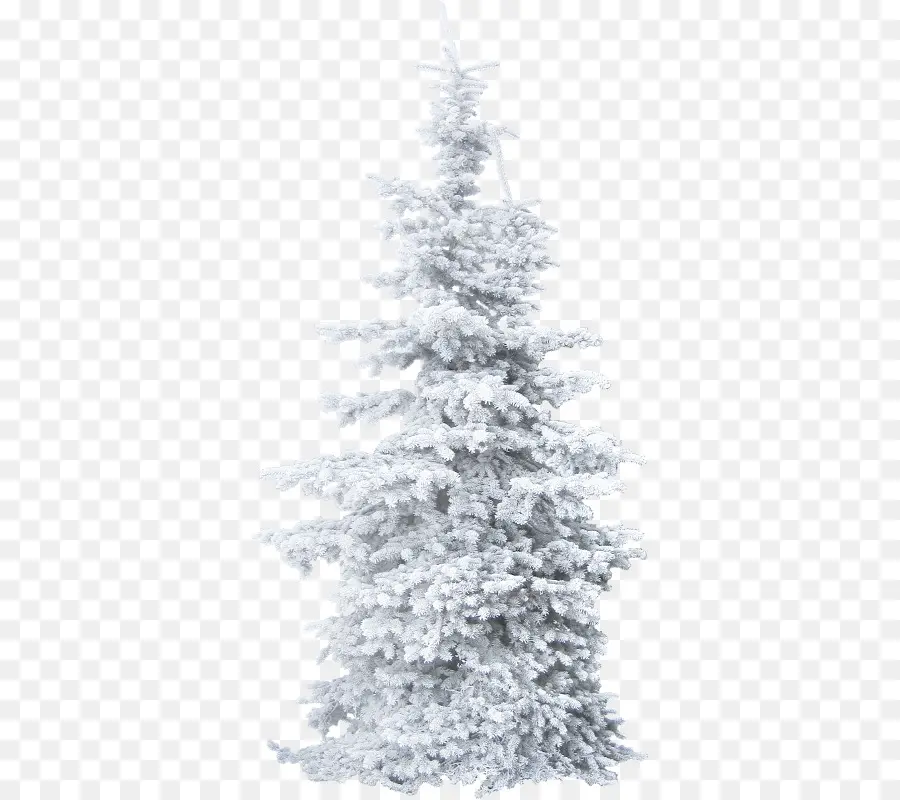 Árbol De Navidad Nevado，Invierno PNG