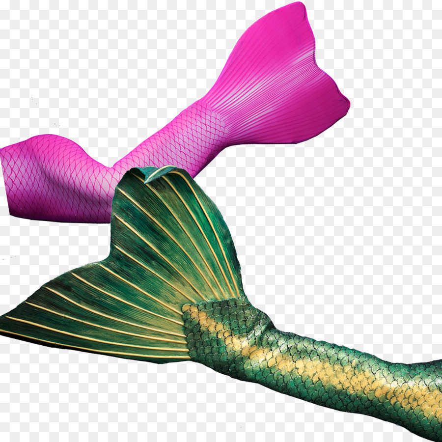 Colas De Sirena，Sirena PNG