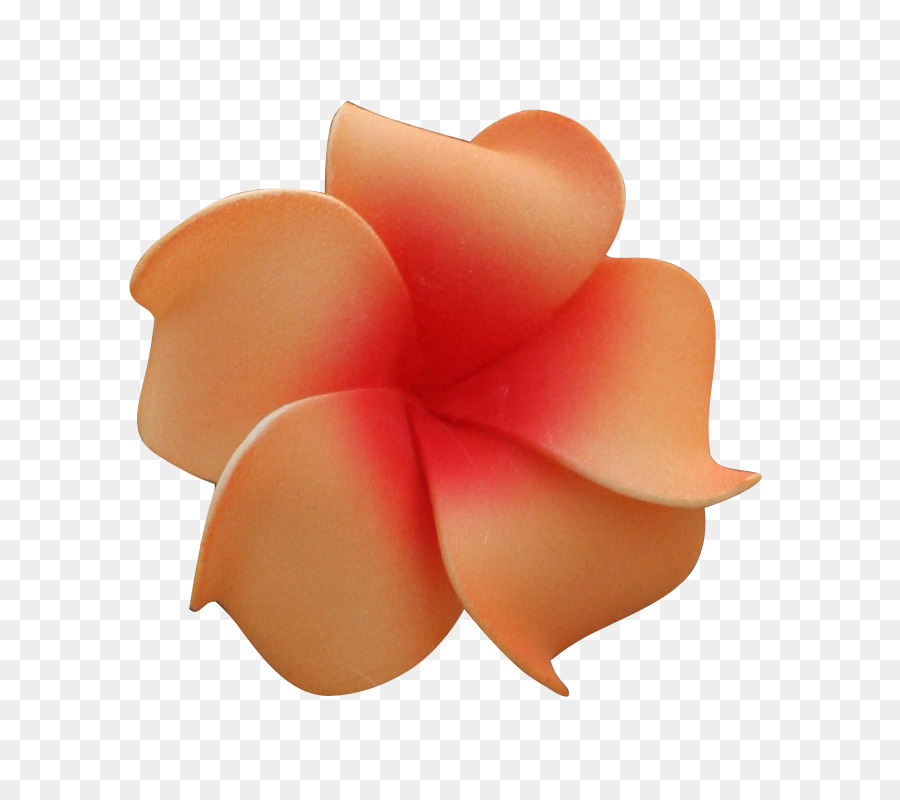 Flor，Hawaii PNG