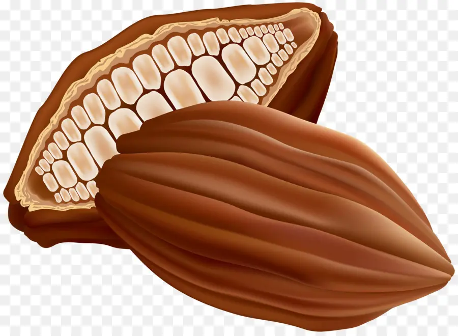 Praliné，Chocolate PNG