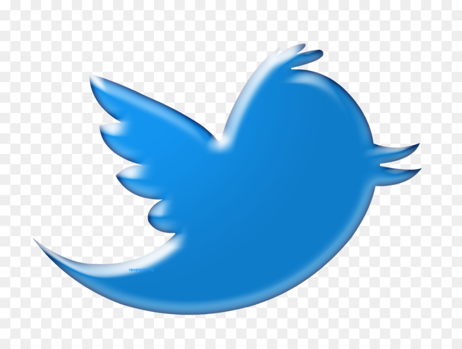 Logotipo De Twitter Azul，Redes Sociales PNG