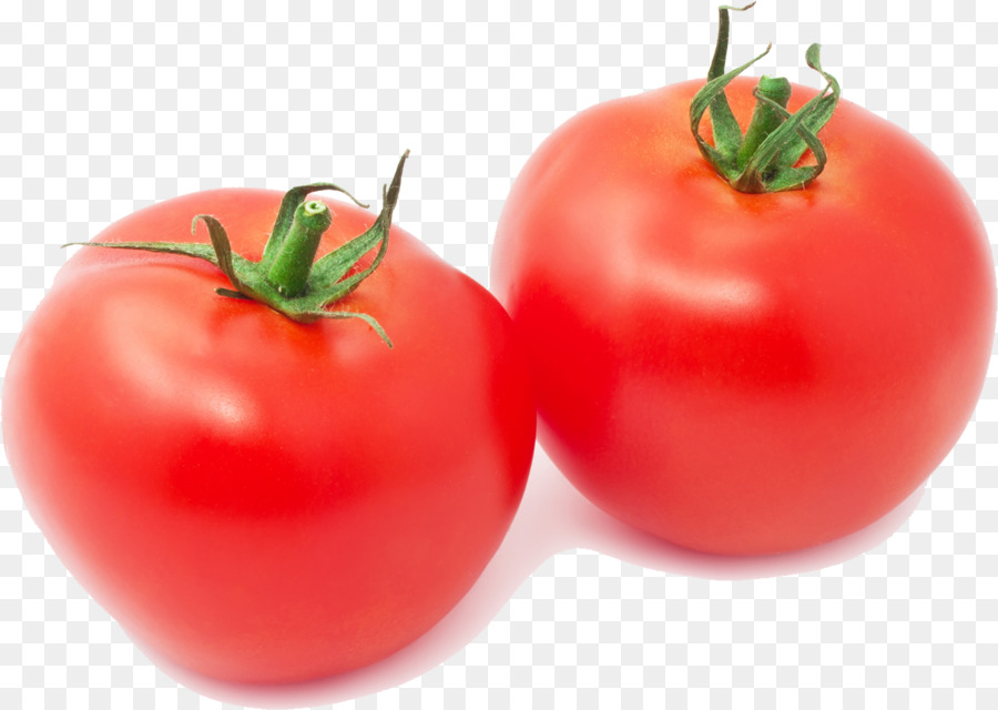 Tomate Ciruela，Bush Tomate PNG