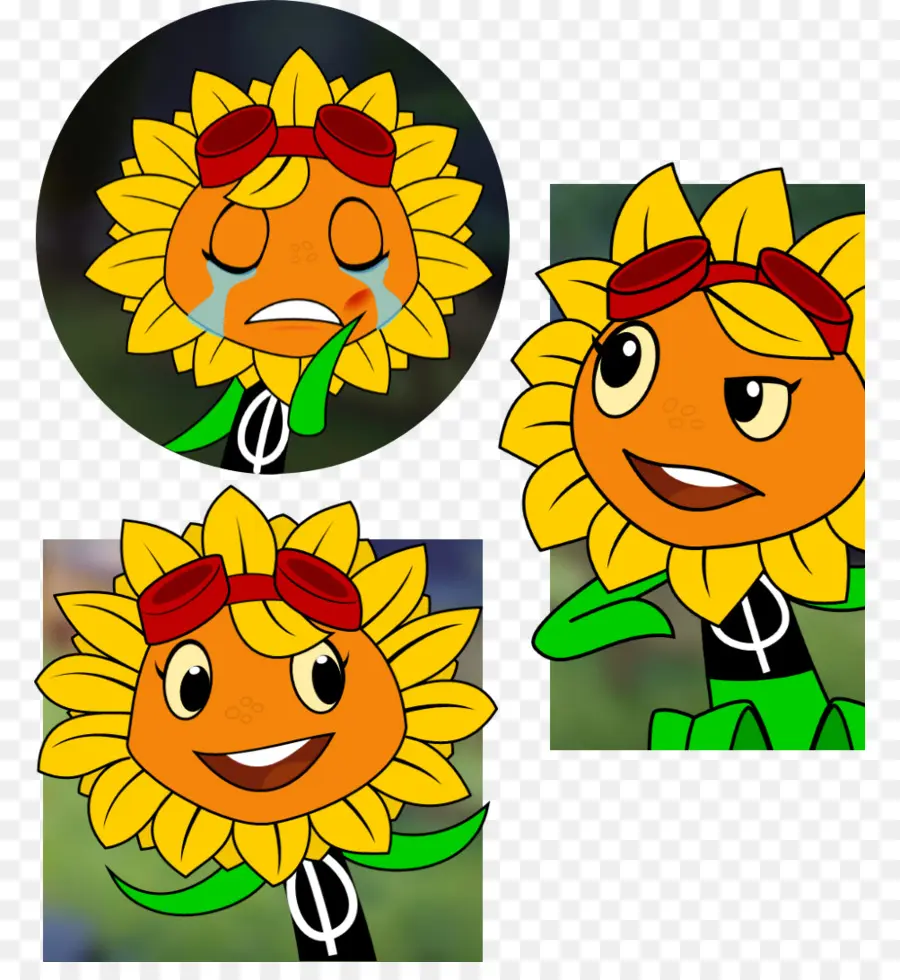 Plantas Vs Zombies，Plantas Vs Zombies Héroes PNG