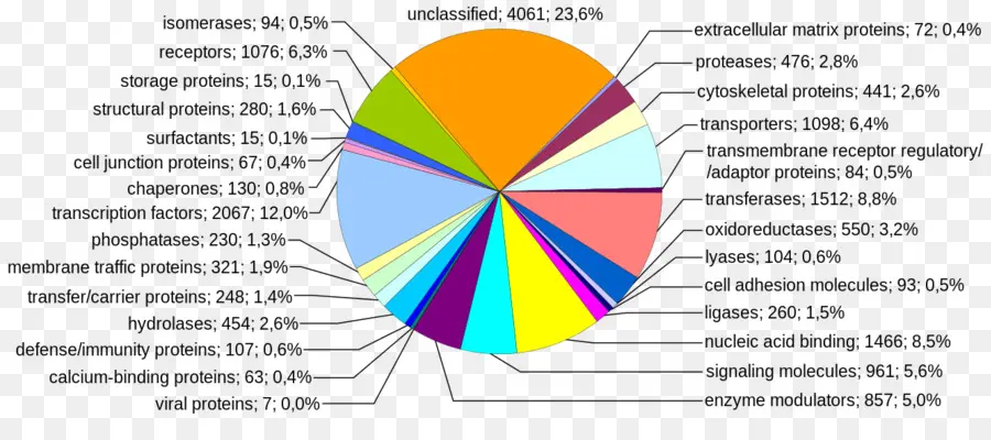 Gráfico Circular，Datos PNG