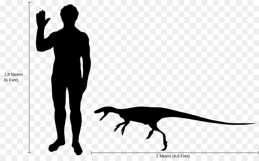 Staurikosaurus，Thescelosaurus PNG