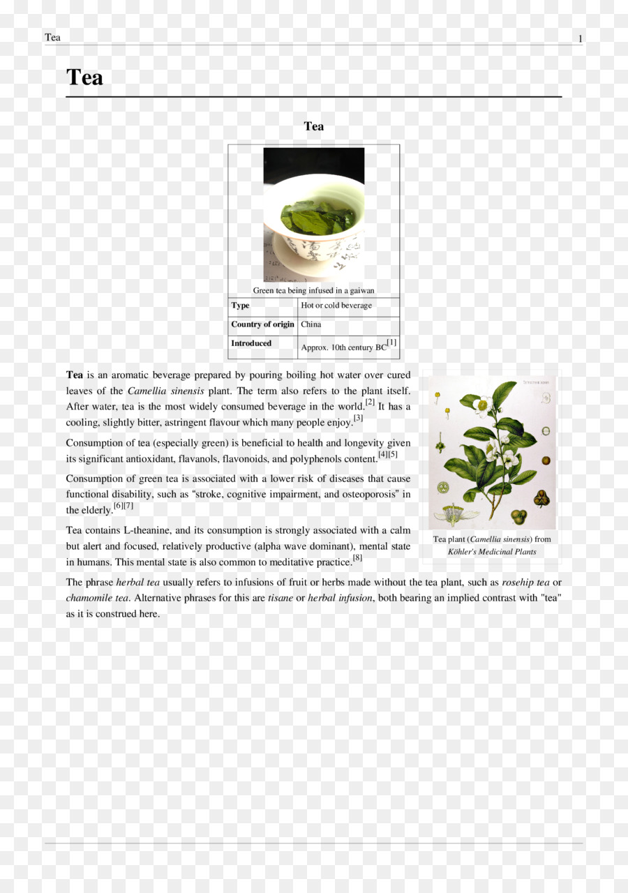 Té，Camellia Sinensis PNG