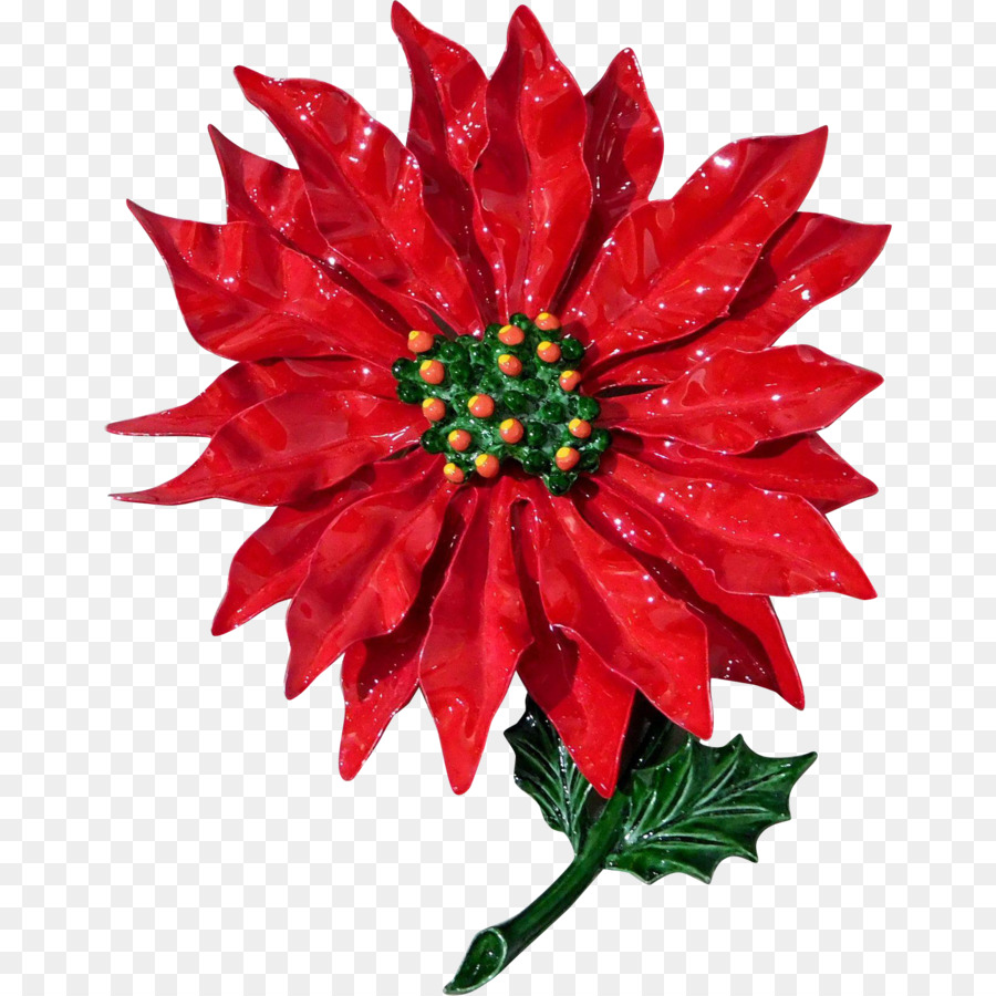 Dalia，La Flor De Pascua PNG