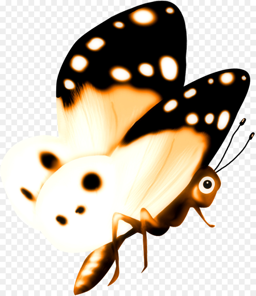 La Mariposa Monarca，La Polilla PNG