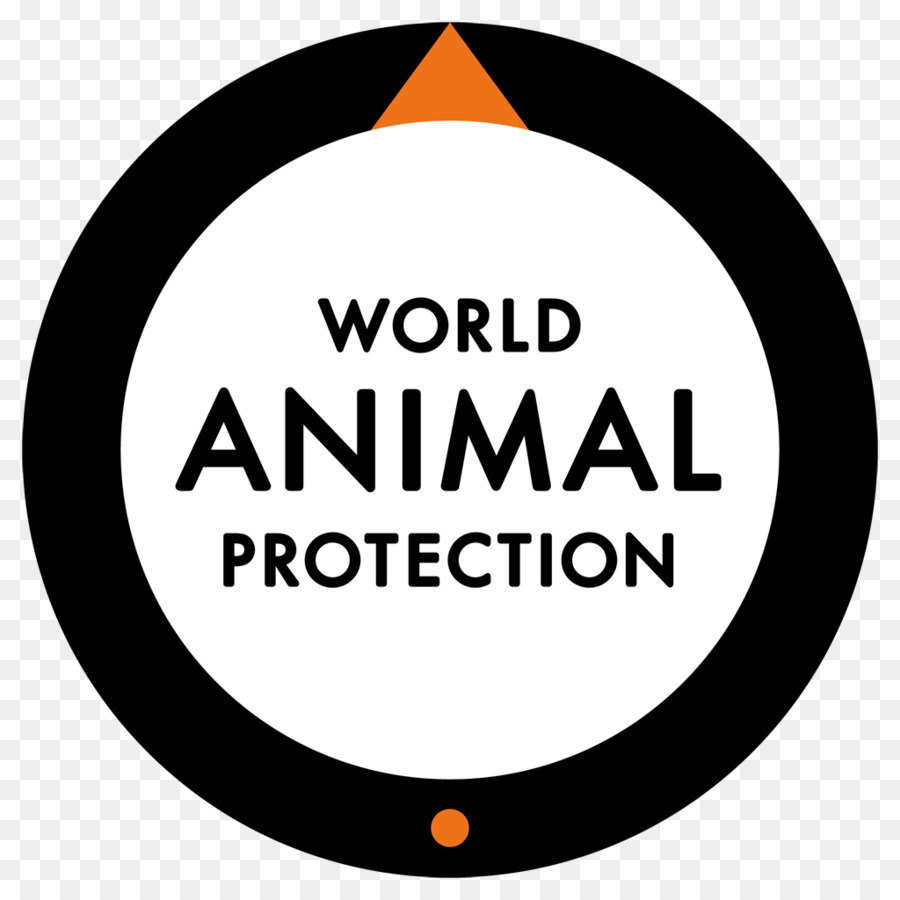 Mundo，Mundial De Protección Animal PNG
