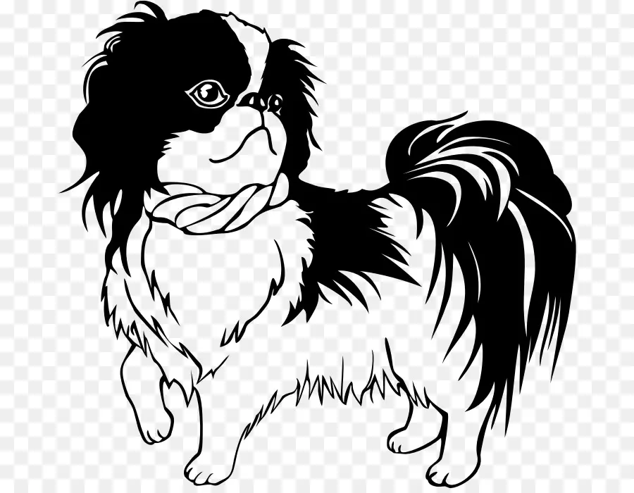 Shih Tzu，Dachshund PNG