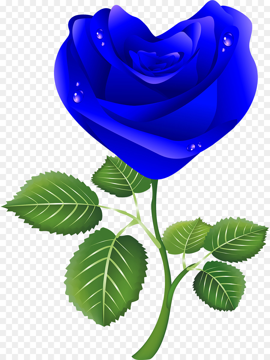 Rosa Azul，Florecer PNG