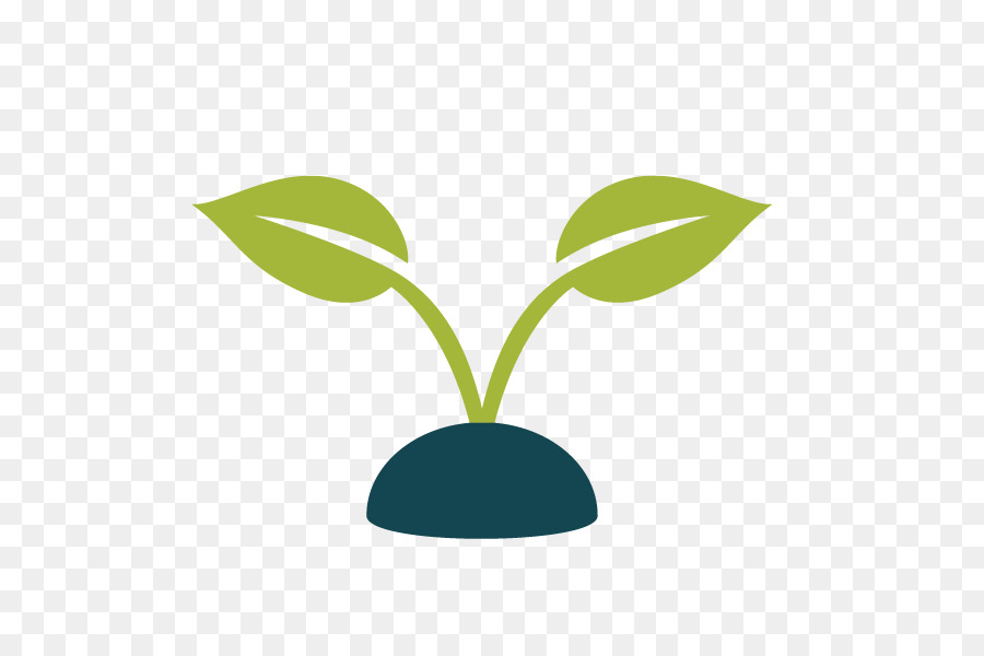 Brotar，Planta De Semillero PNG