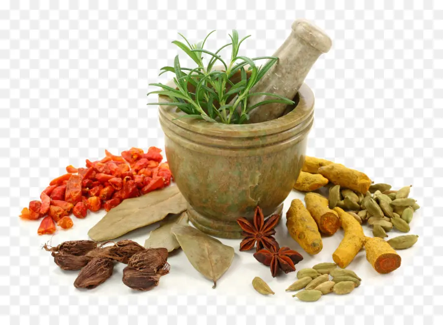 Ayurveda，La Curación De Ayurveda PNG