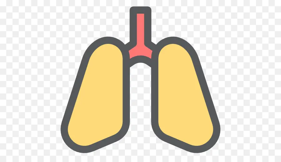 Icono De Pulmones，Respiratorio PNG