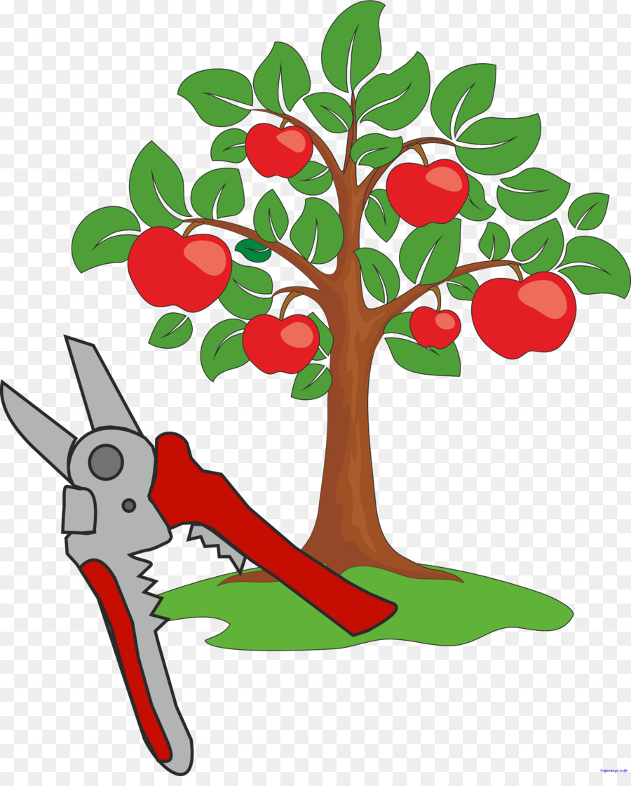 Apple，árbol PNG