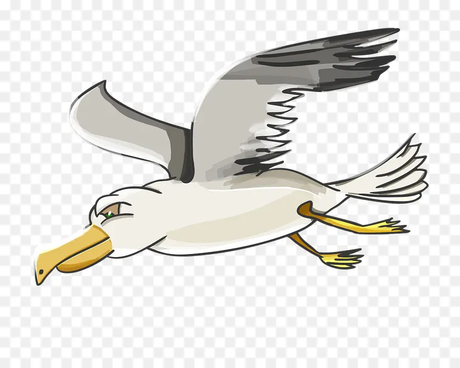 Gaviota，Vuelo PNG