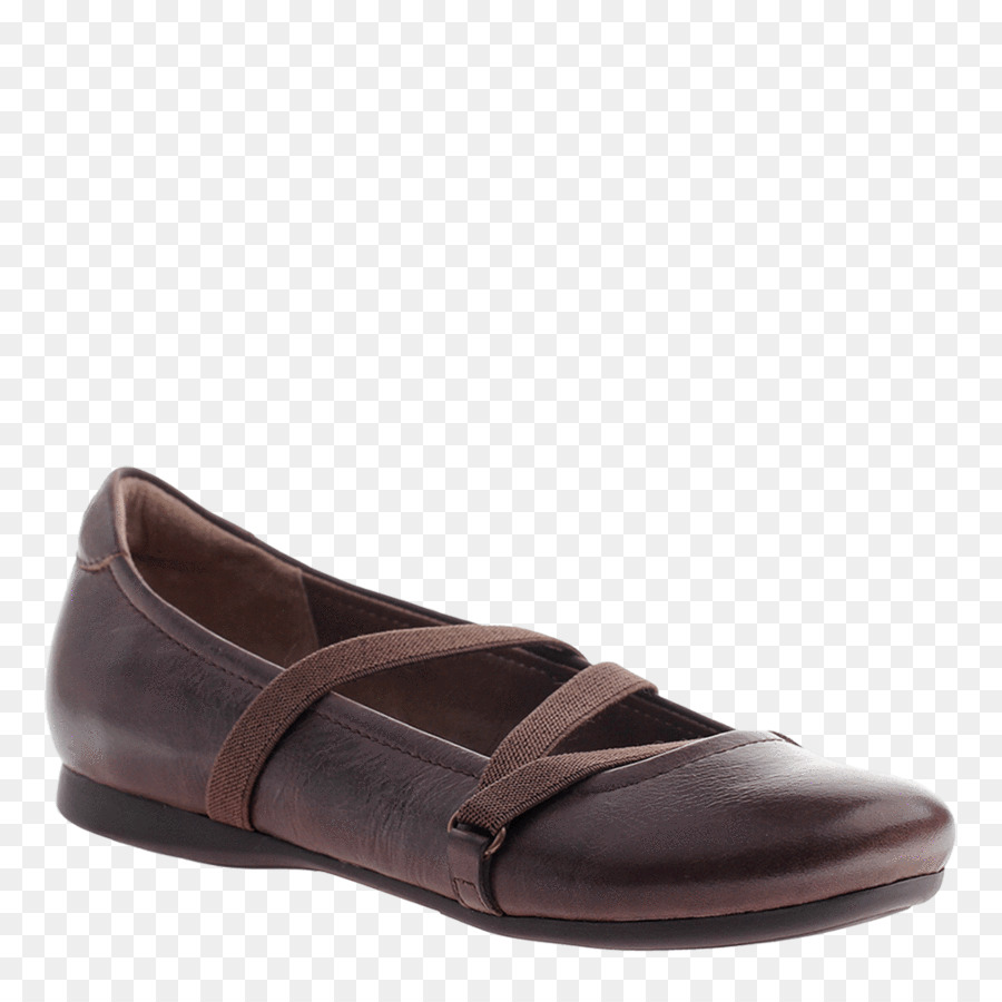 Slipon Zapato，El Ballet Plana PNG