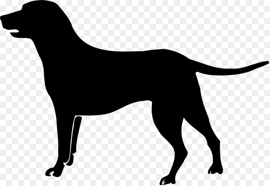 Labrador Retriever，Golden Retriever PNG